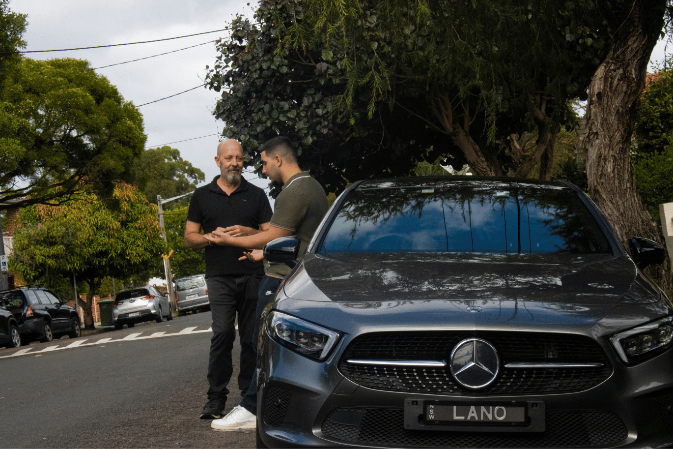 Scenic outdoor photo with greenery and cityscape